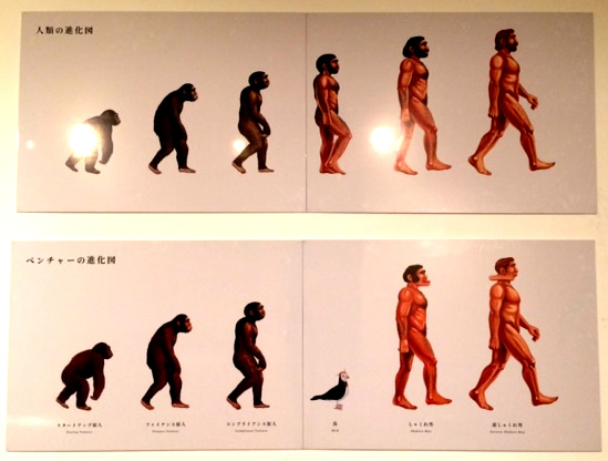 ベンチャーの進化図