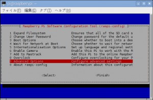 raspi-config Advanced Options