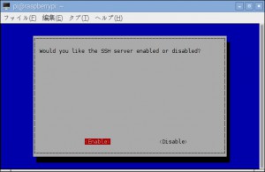 raspi-config SSH Enable