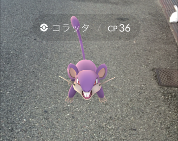 ポケモンGO／コラッタと戦闘