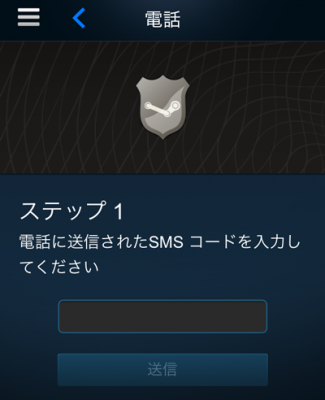 Steamガードコード入力画面