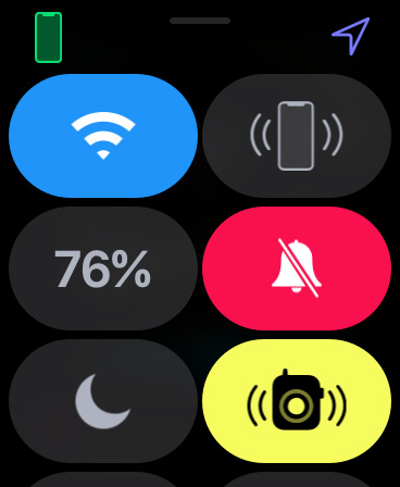 Apple Watch をマナーモードにする03